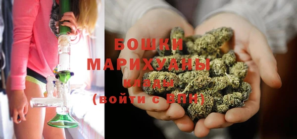 СК Зеленокумск
