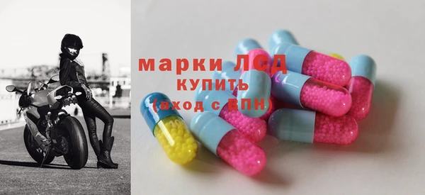 СК Зеленокумск