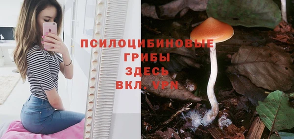 СК Зеленокумск