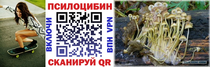 Купить где  Удачный  Галлюциногенные грибы мухоморы 